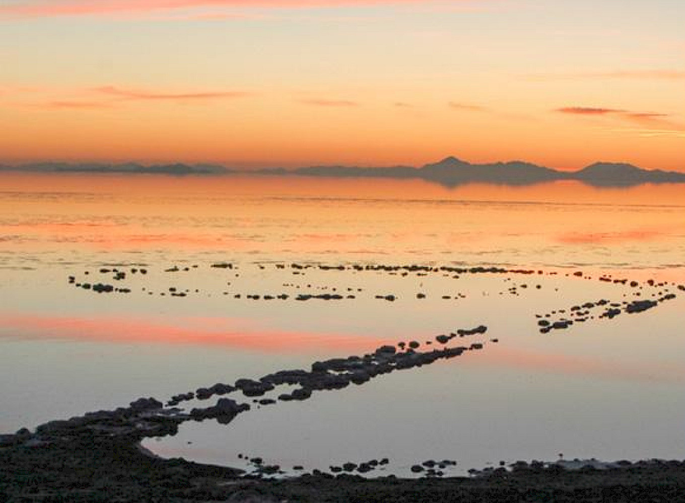 dawn-till-dusk-web-1200pxw.2800×1000